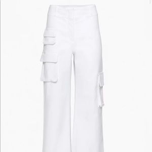 NWT Aritzia Picture Pant